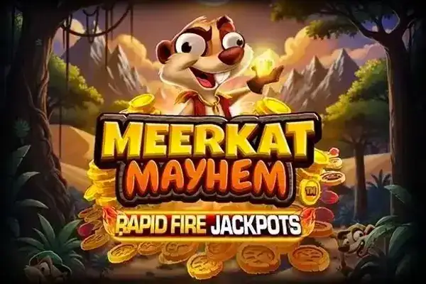 Meerkat Mayhem